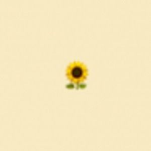 Meet your Posher, Lindi